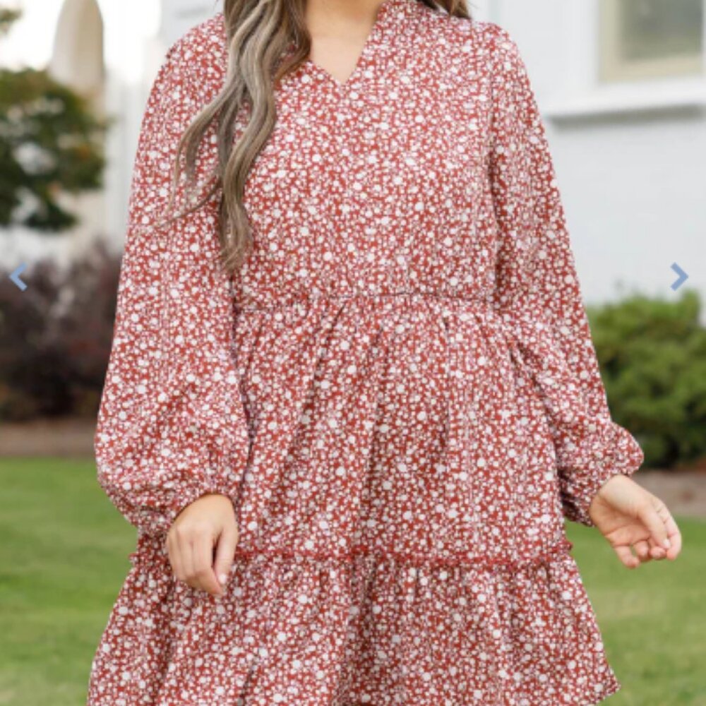 Chic Soul Worth A Thousand Words Dress, Rust